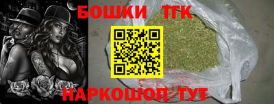 молекула духа Волжский