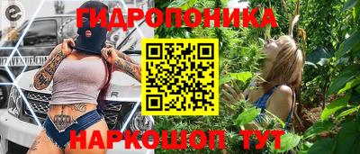 прущие грибы Волгодонск