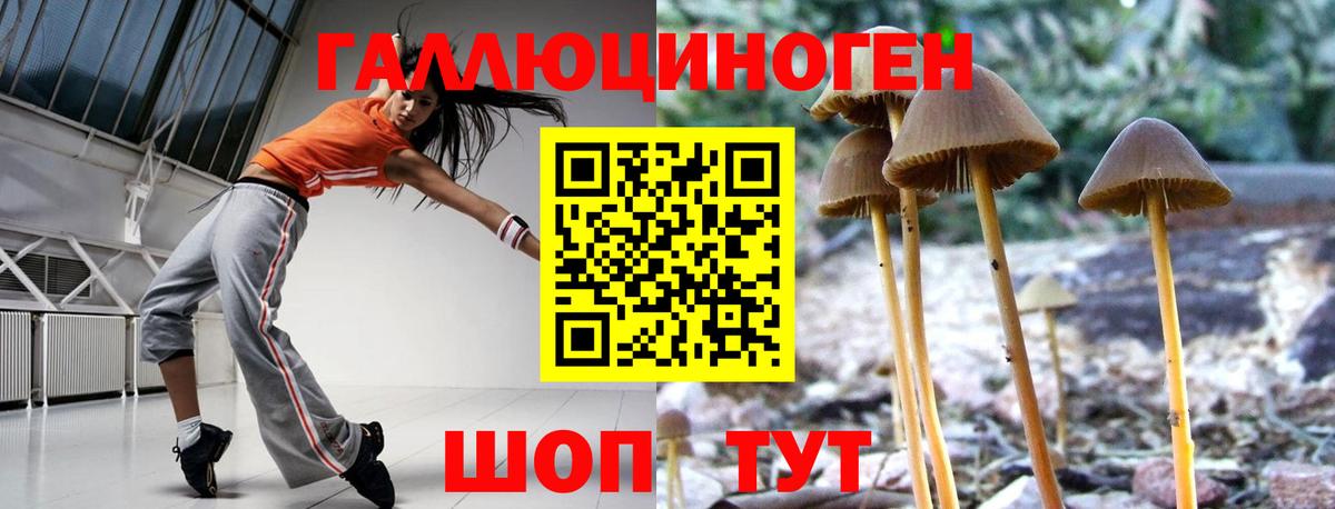 Набережные Челны  Галлюциногенные грибы прущие грибы  Вход с VPN 
